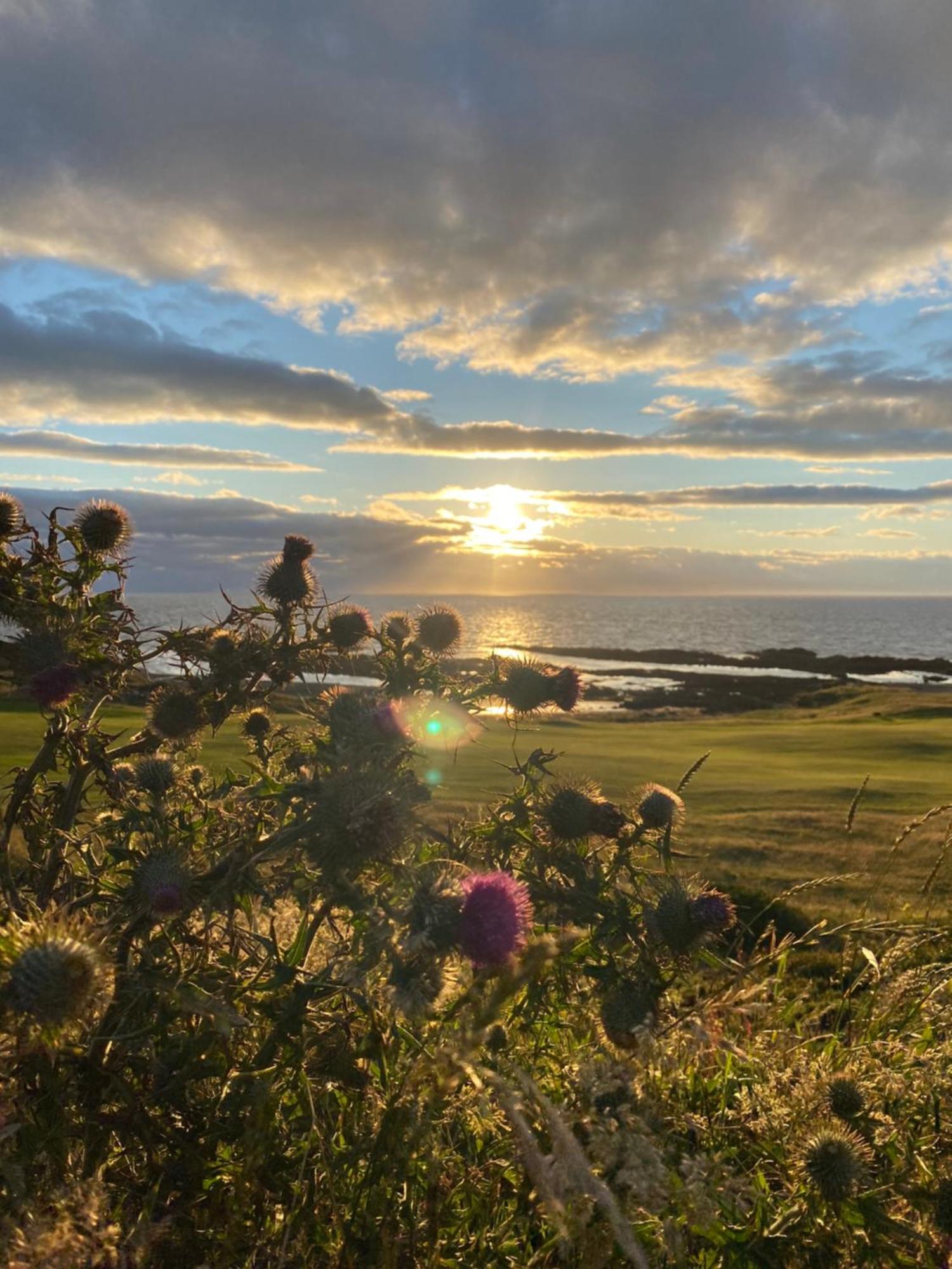 Elsay May Luxury Hot Tub Lodges Exclusively For Couples Over 25Yrs And Dog Friendly Turnberry Exterior foto